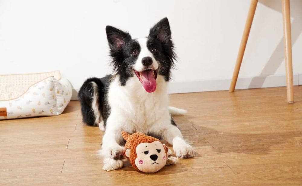 Pawsindia Sleepy Monkey Toy for Dogs