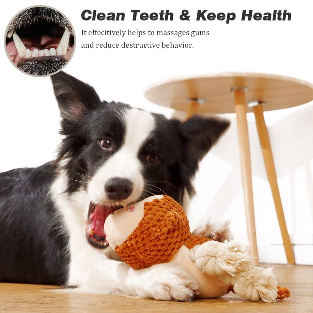 Pawsindia Sleepy Monkey Toy for Dogs
