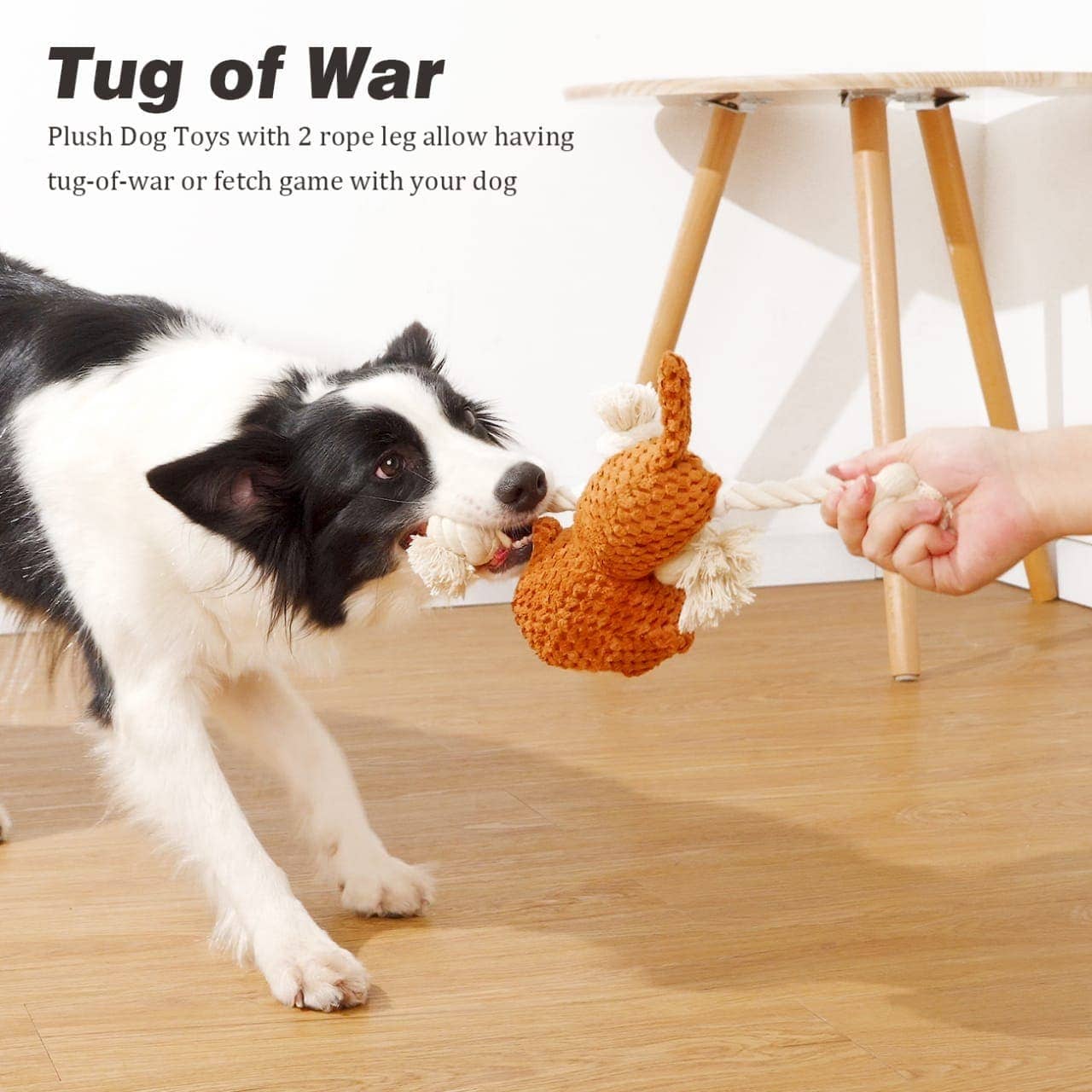 Pawsindia Sleepy Monkey Toy for Dogs