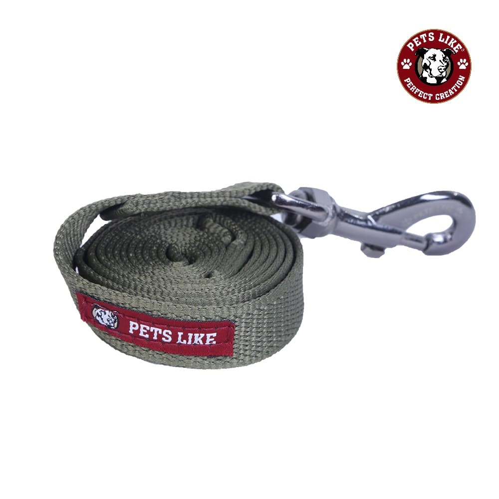 Pets Like Leash for Dogs (Assorted)