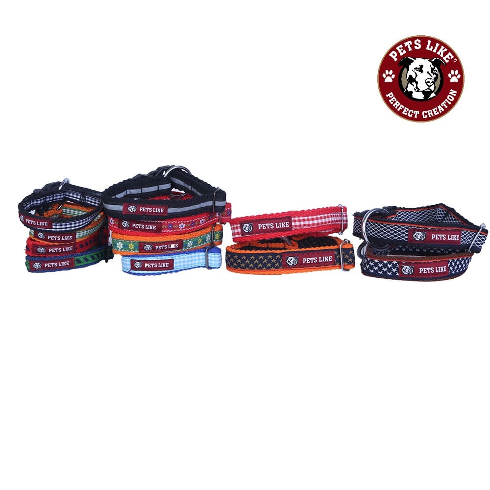 Pets Like Designer Collar for Dogs (Blue)