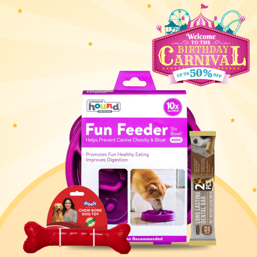 Eat Play and Be Jolly at the Supertails Birthday Party for Dogs