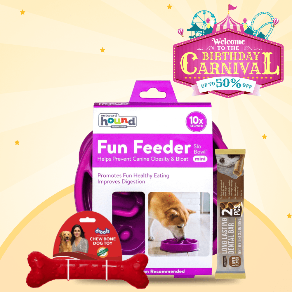 Eat Play and Be Jolly at the Supertails Birthday Party for Dogs