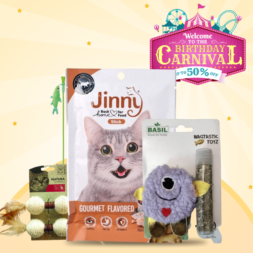 Run And Chase At The Birthday Party for Cats