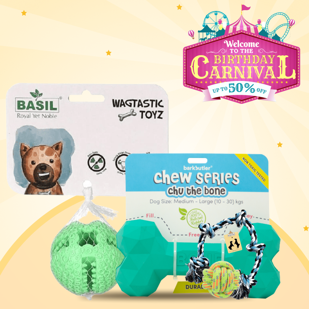 Supertails Birthday Toy La Land! for Dogs