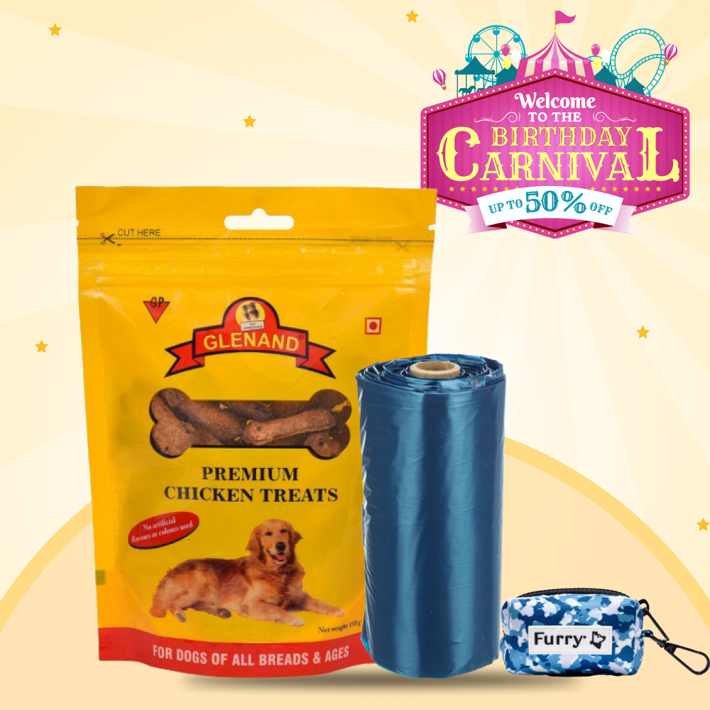 Walk In Style For The Birthday Party for Dogs