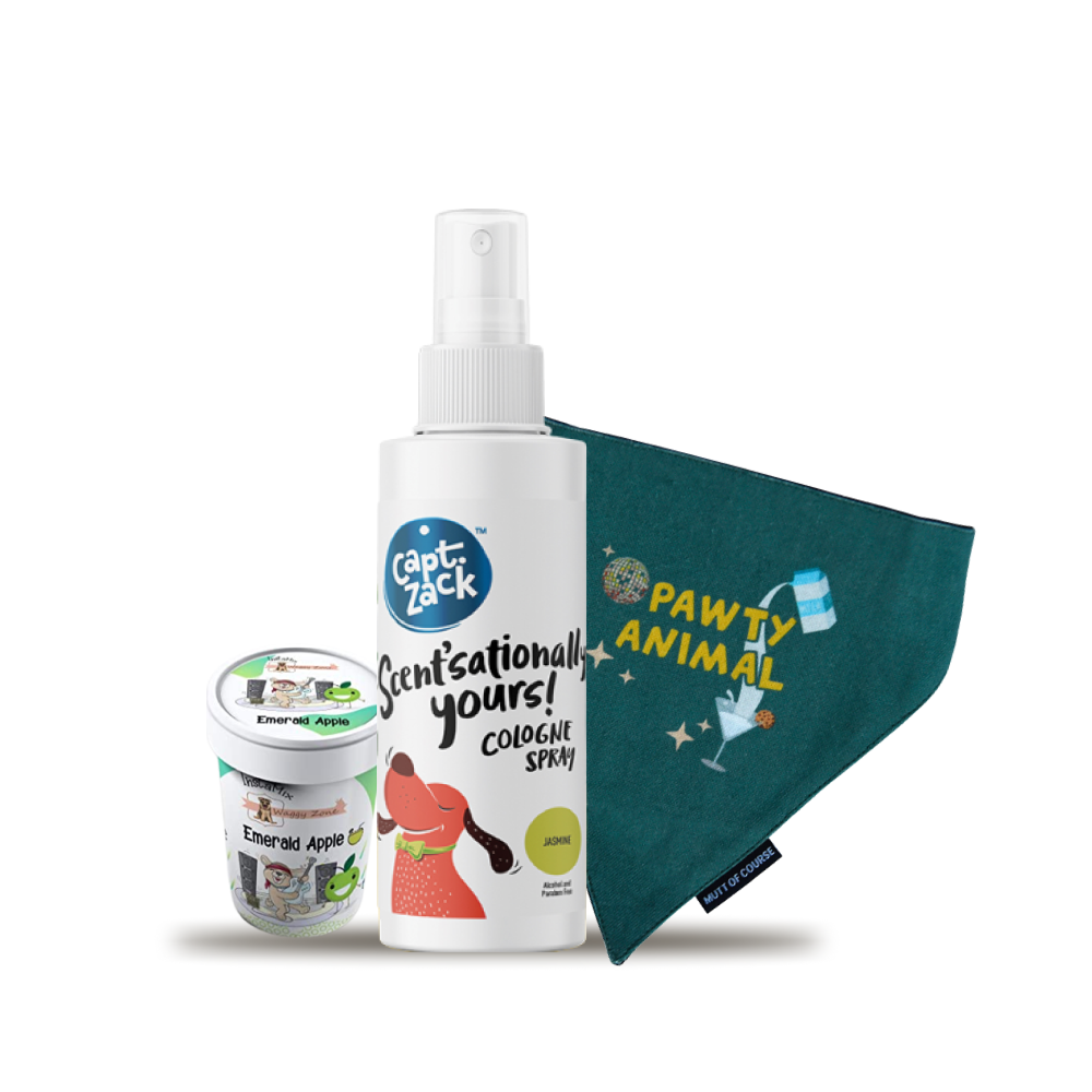 Party Animals Combo for Dogs