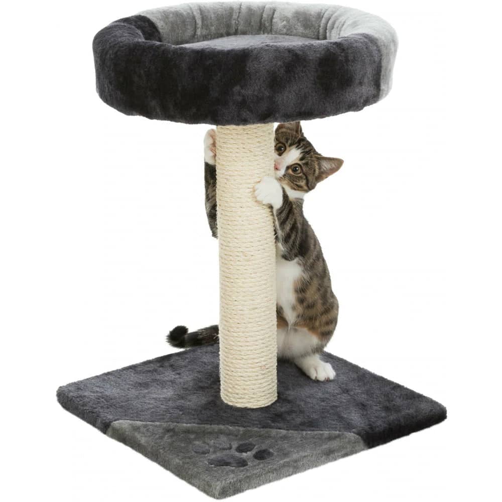 Trixie Junior Tarifa Scratching Post for Cats (52cm)