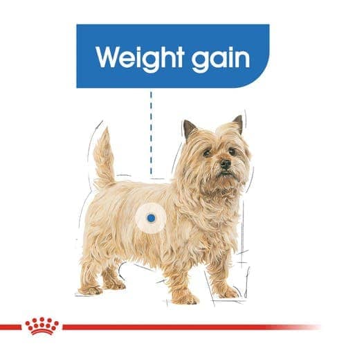 Royal Canin Light Weight Care Adult Dog Wet Food