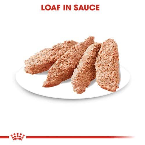 Royal Canin Light Weight Care Adult Dog Wet Food