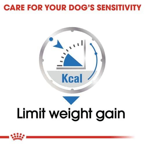 Royal Canin Light Weight Care Adult Dog Wet Food