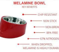 Peetara Slant Designer Melamine Bowl for Pets (Red)