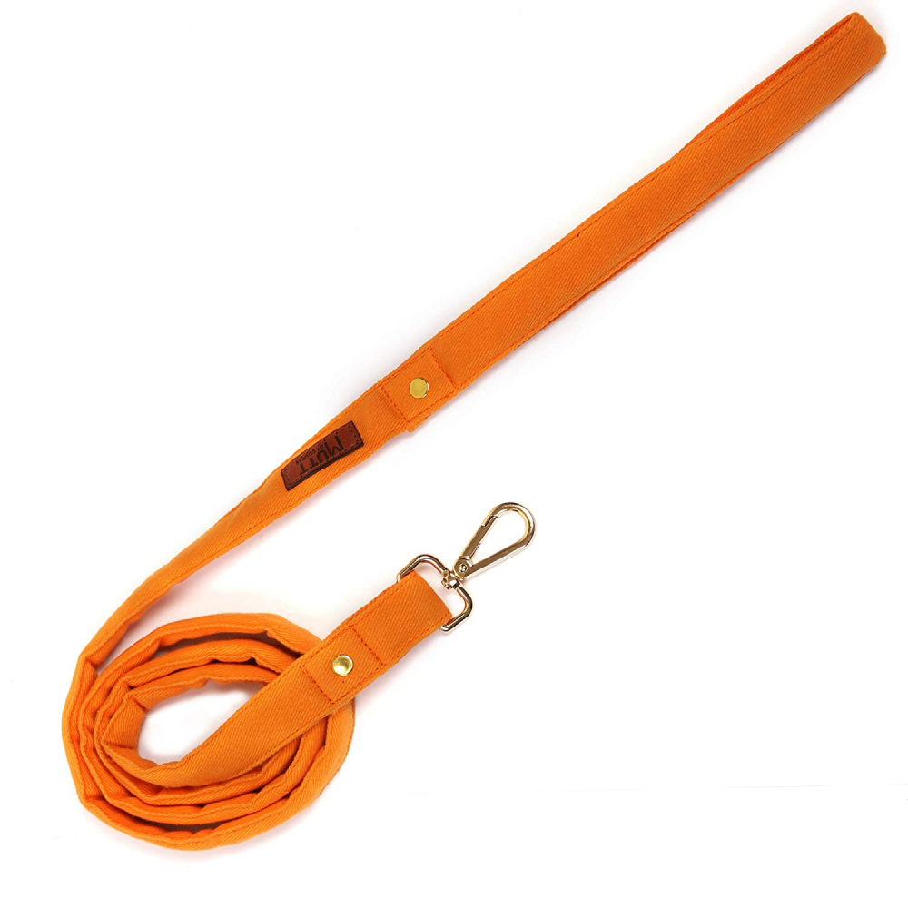 Mutt of Course Leash for Dogs (Gooseberry)
