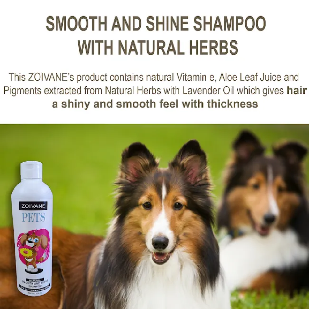 Zoivane Smooth and Shine Shampoo for Dogs (Vanilla & Almond)