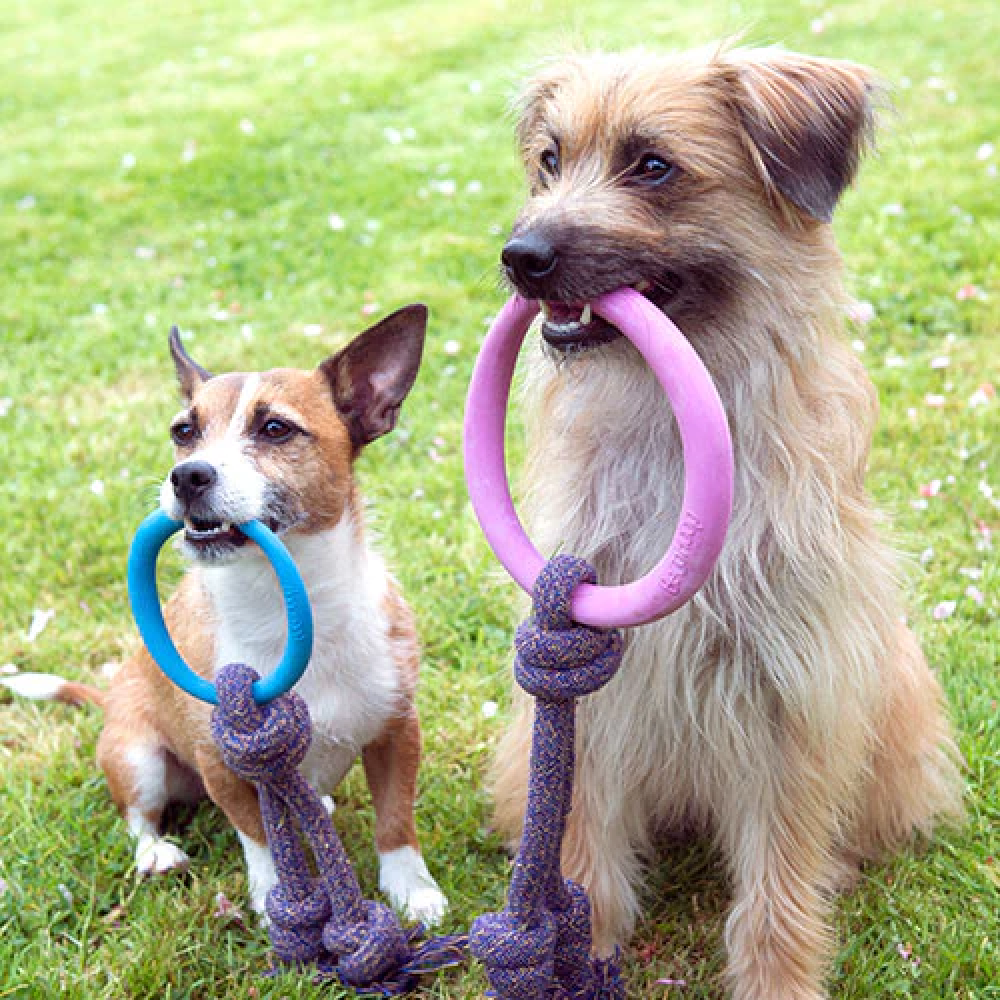 Beco Hoop On Rope Toy for Dogs