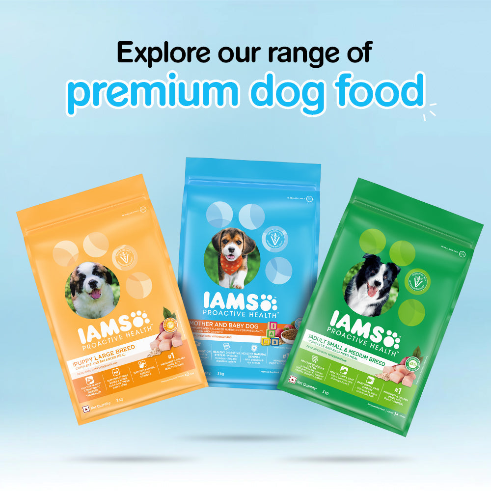 IAMS Proactive Health Premium Mother and Baby Dog Dry Food