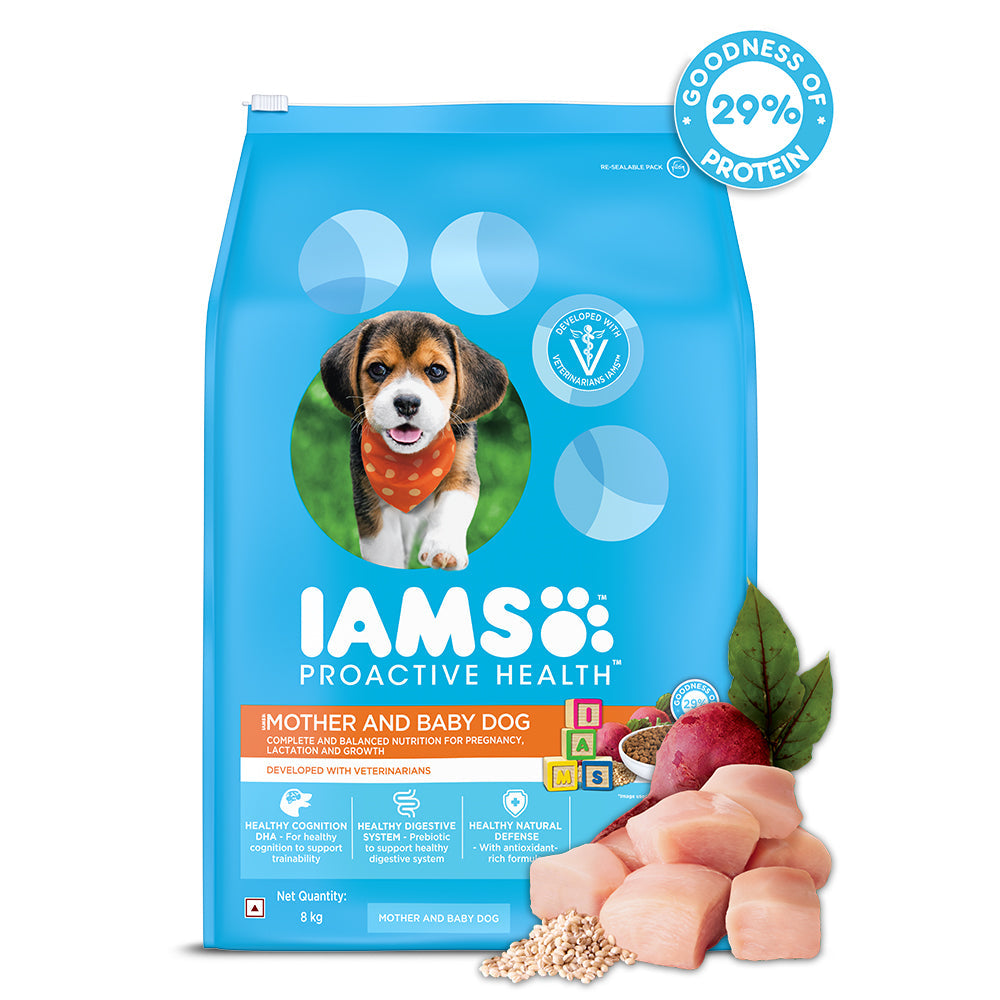 IAMS Proactive Health Premium Mother and Baby Dog Dry Food