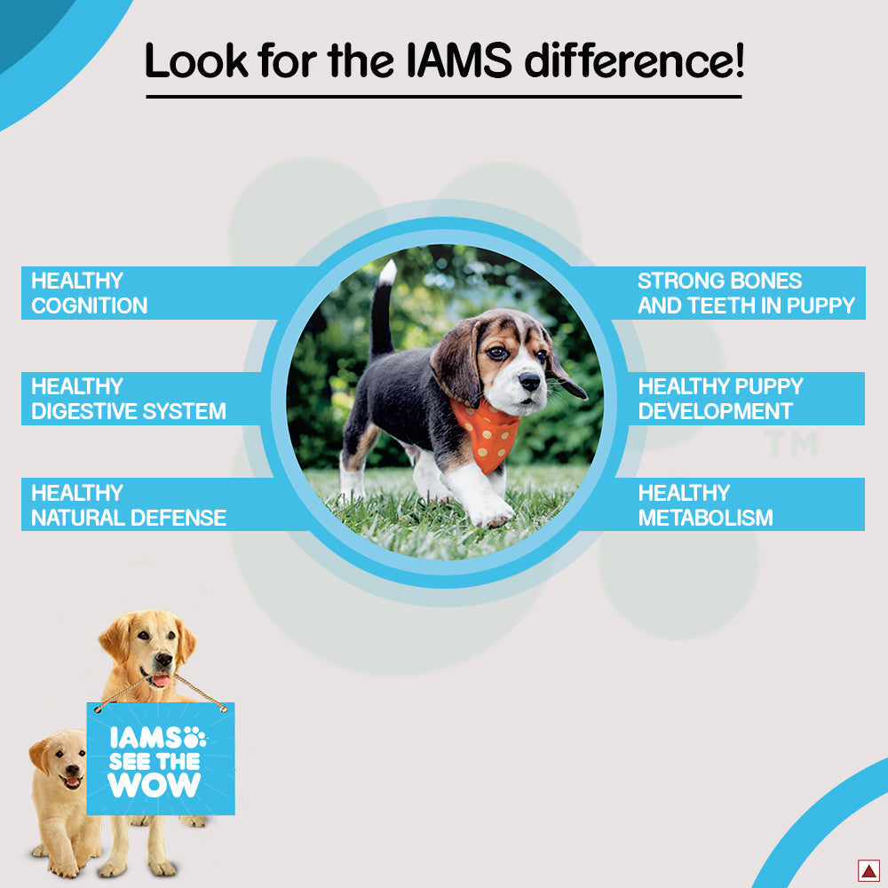IAMS Proactive Health Premium Mother and Baby Dog Dry Food
