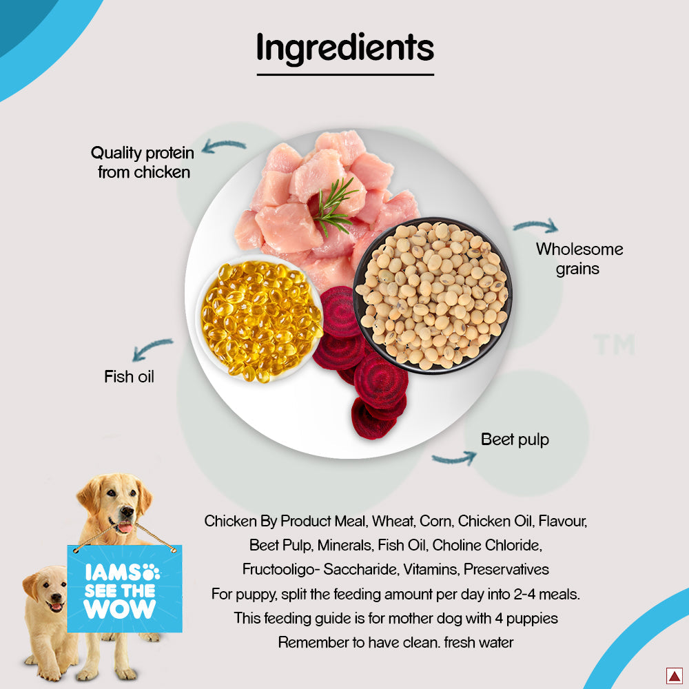 IAMS Proactive Health Premium Mother and Baby Dog Dry Food