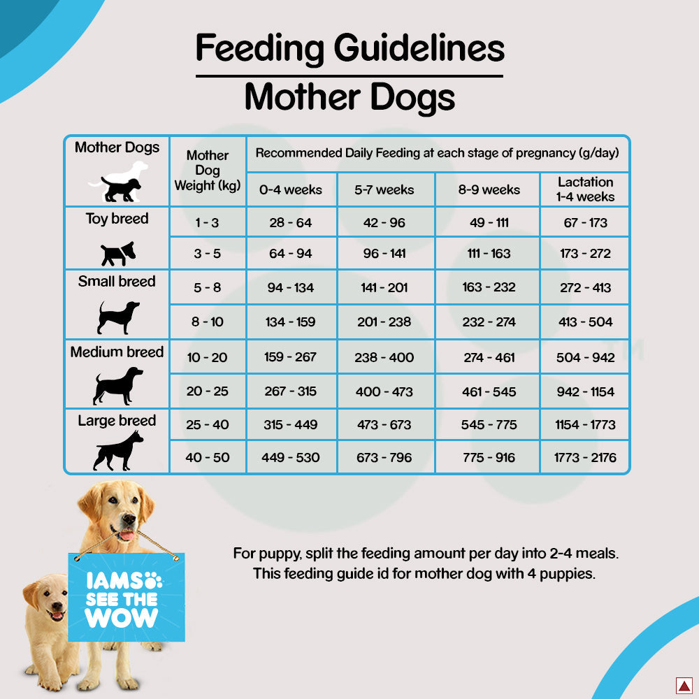 IAMS Proactive Health Premium Mother and Baby Dog Dry Food