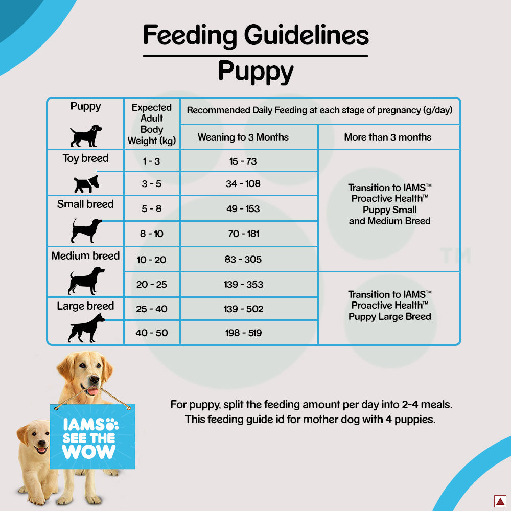 IAMS Proactive Health Premium Mother and Baby Dog Dry Food