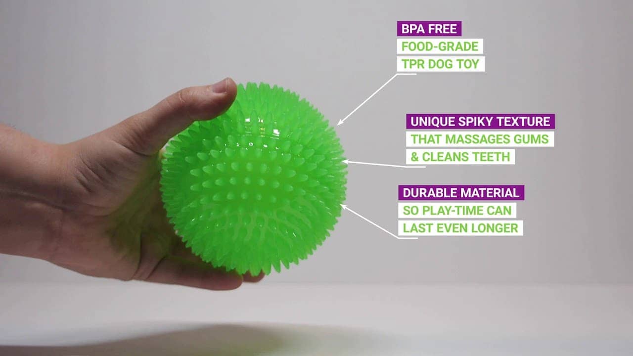 Basil Rubber Ball With Bell Toy for Dogs (Assorted)