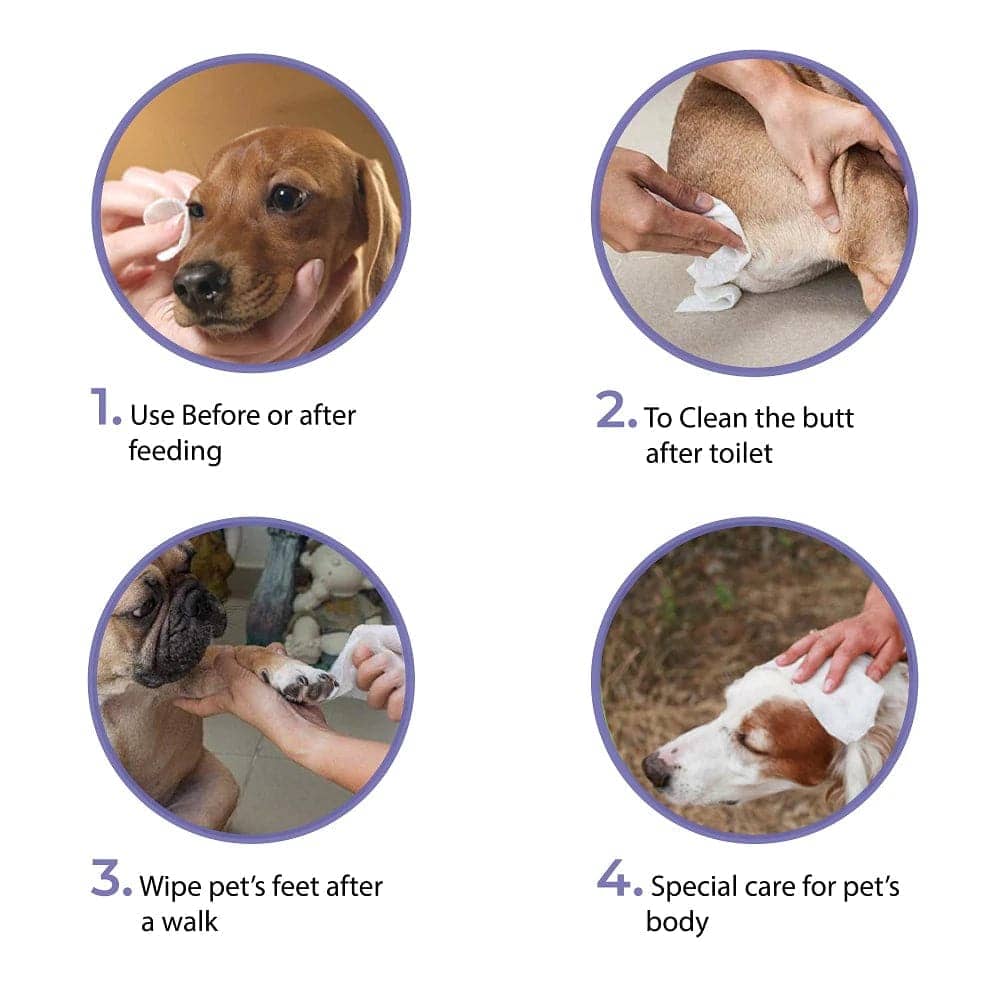 Goofy Tails Wipes for Pets