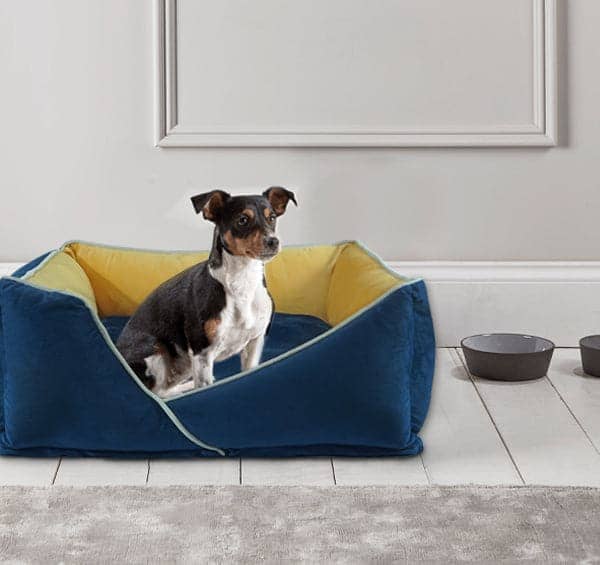 Hiputee Premium Holland Fabric Rectangular Bed for Pets (Blue-Yellow)
