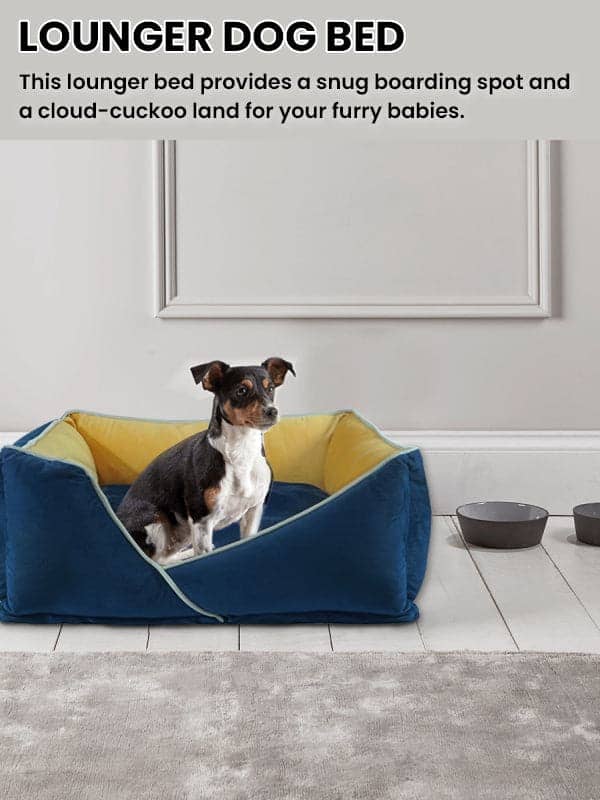 Hiputee Premium Holland Fabric Rectangular Bed for Pets (Blue-Yellow)