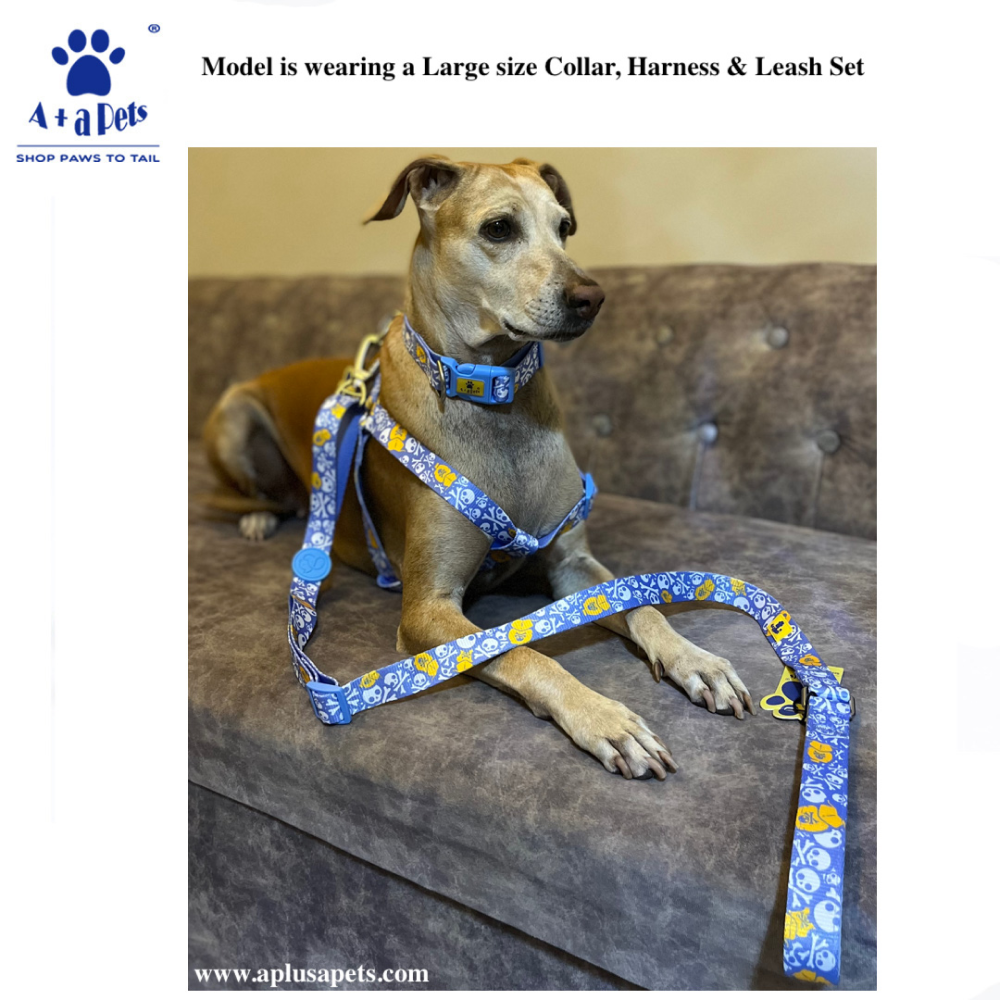 A Plus A Pets Skin Friendly Collar in Pirate Design for Pets