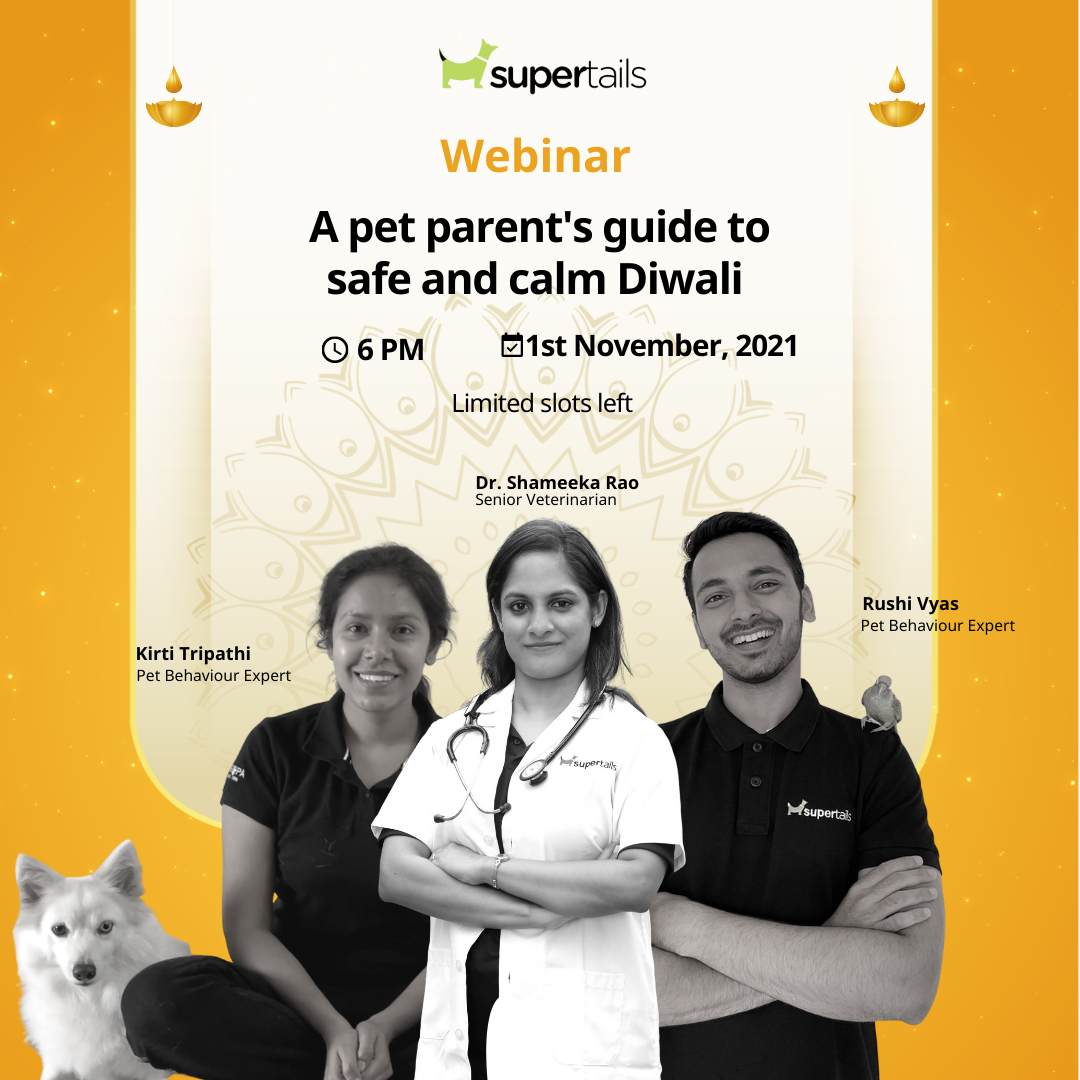 A Pet Parent&