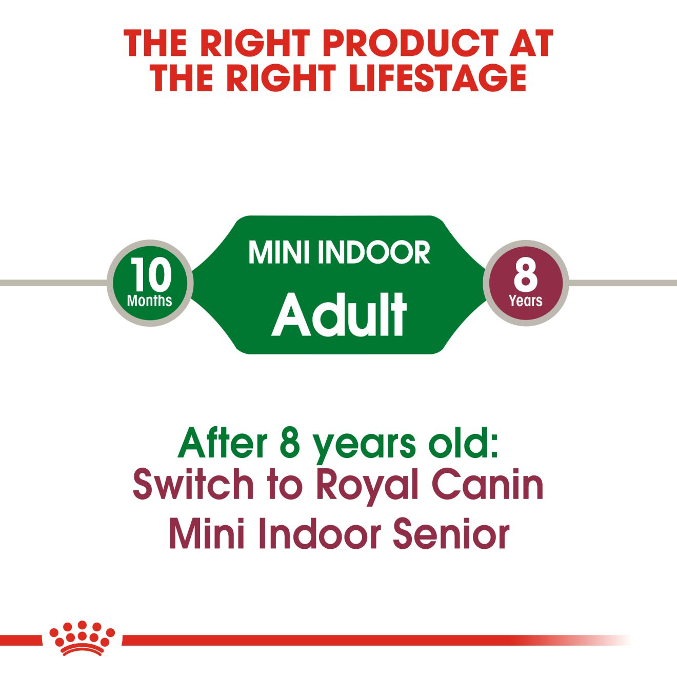 Royal Canin Mini Indoor Adult Dog Dry Food