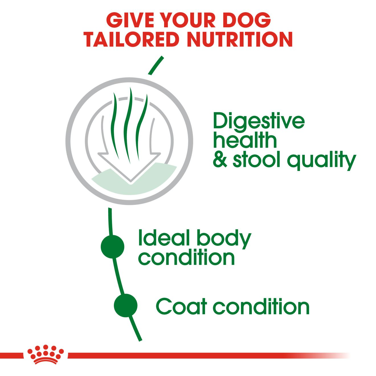 Royal Canin Mini Indoor Adult Dog Dry Food