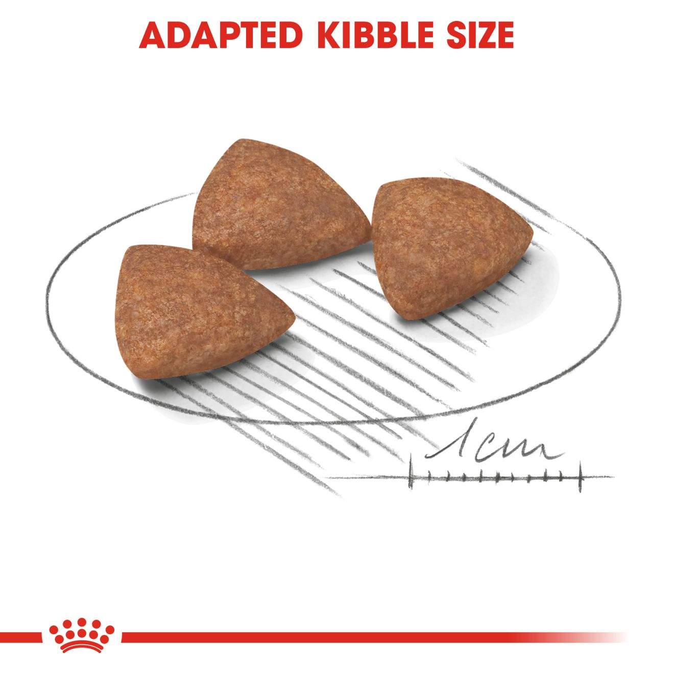 Royal Canin Mini Indoor Adult Dog Dry Food