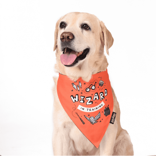 Harry Potter Woofy Wizard Bandana For Dogs