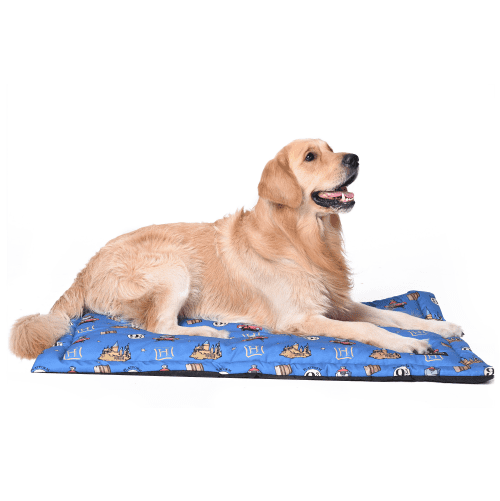 Harry Potter Welcome To Hogwarts Mat for Pets