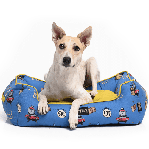 Harry Potter Welcome To Hogwarts Bed for Pets