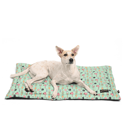 Harry Potter Potions In Motions Mat for Pets