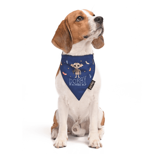 Harry Potter Doggy Dobby Bandana For Dogs