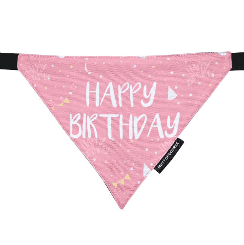 Ready for Birthday Party Combo for Dogs