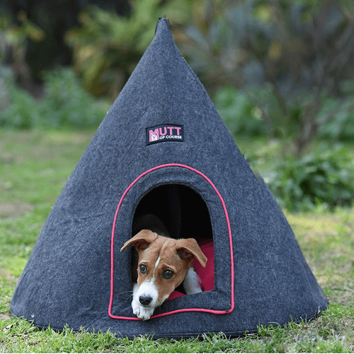 Mutt of Course Cone E Chiwa Bed for Pets(Grey)