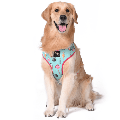 Harry Potter Potions In Motions Harness for Dogs