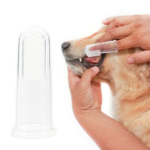 Pawsindia finger Toothbrush for Pets